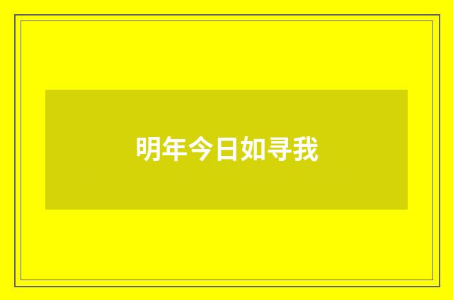 明年今日如寻我