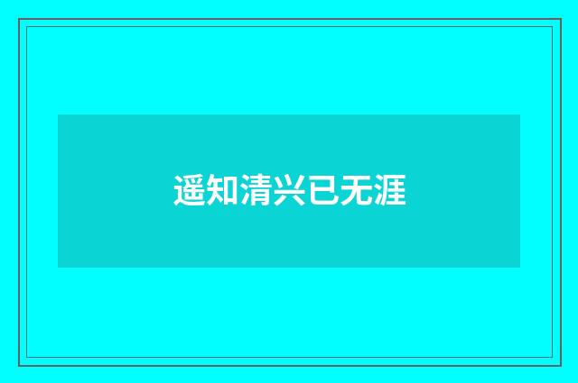 遥知清兴已无涯