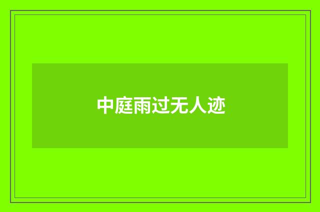 中庭雨过无人迹