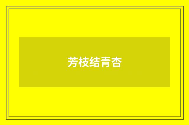 芳枝结青杏