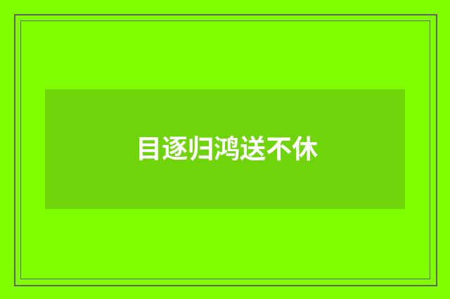 目逐归鸿送不休