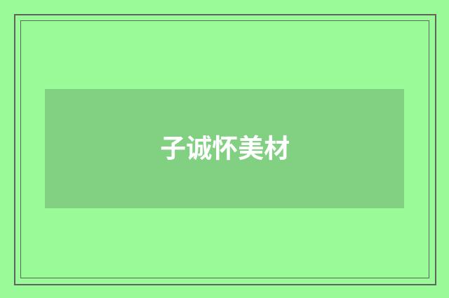子诚怀美材