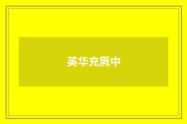 英华充厥中