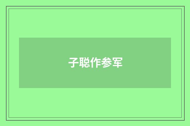子聪作参军