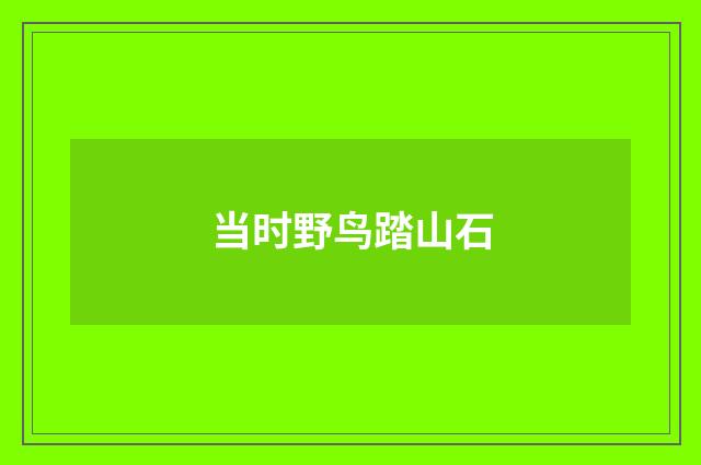 当时野鸟踏山石