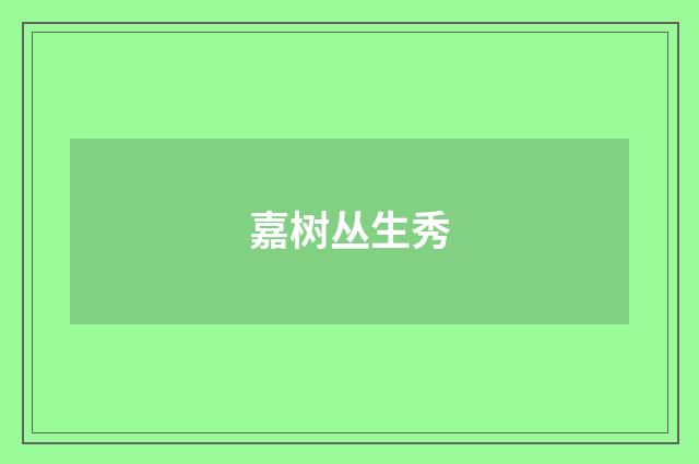 嘉树丛生秀