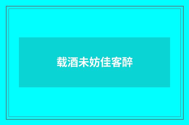 载酒未妨佳客醉