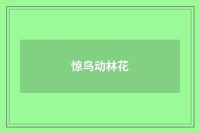 惊鸟动林花