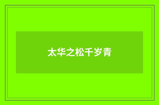 太华之松千岁青