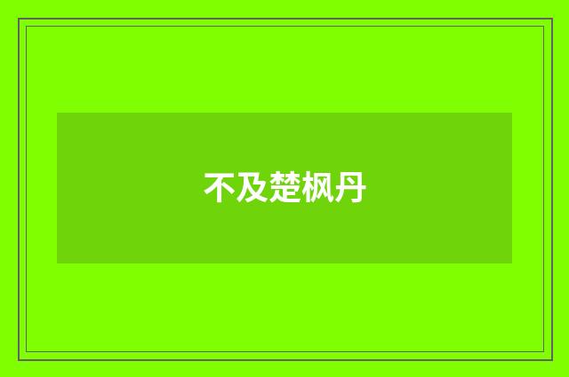 不及楚枫丹