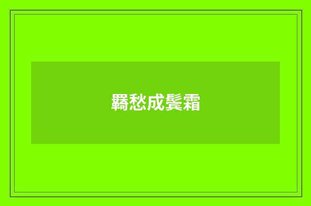 羇愁成鬓霜