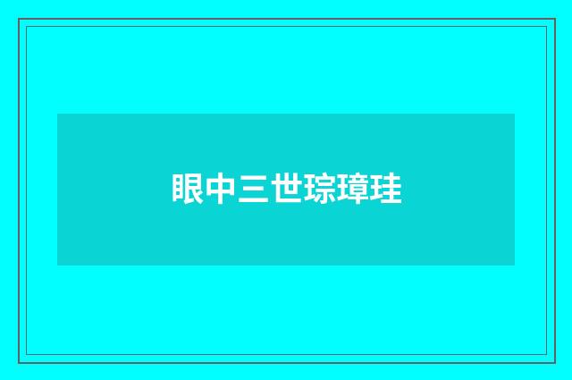 眼中三世琮璋珪
