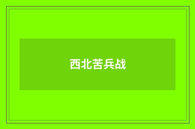 西北苦兵战