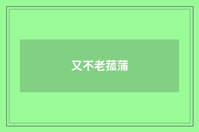 又不老菰蒲