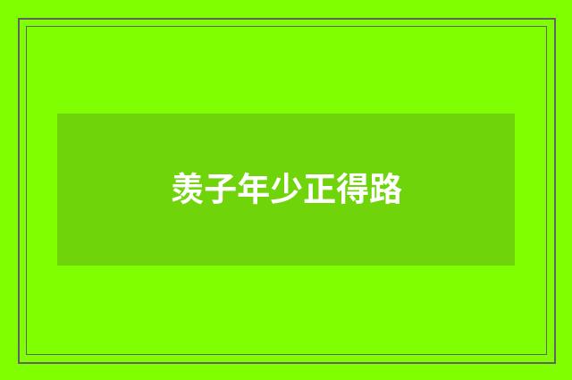 羡子年少正得路