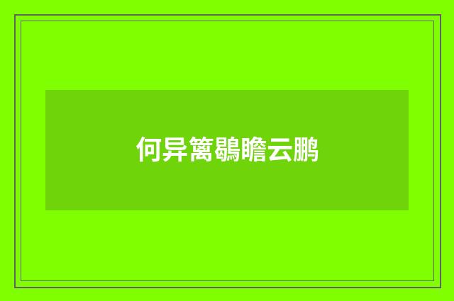 何异篱鶡瞻云鹏