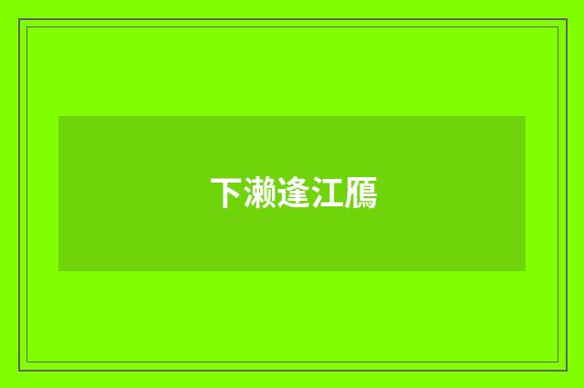 下濑逢江鴈