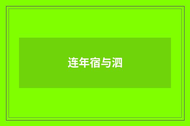 连年宿与泗