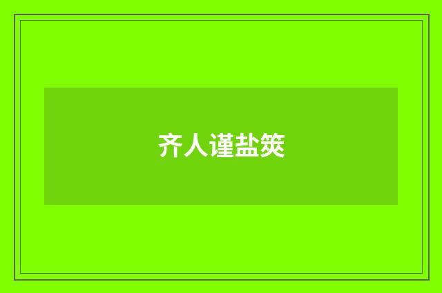 齐人谨盐筴