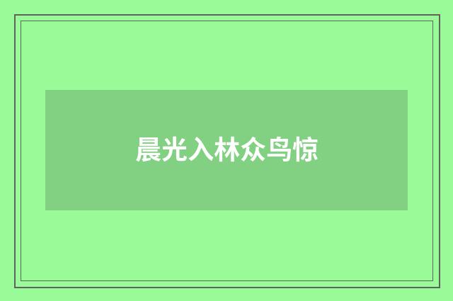 晨光入林众鸟惊