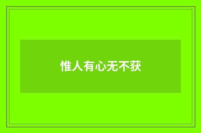 惟人有心无不获