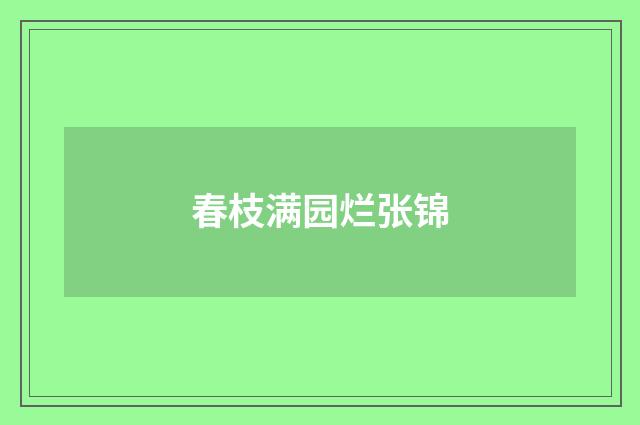 春枝满园烂张锦