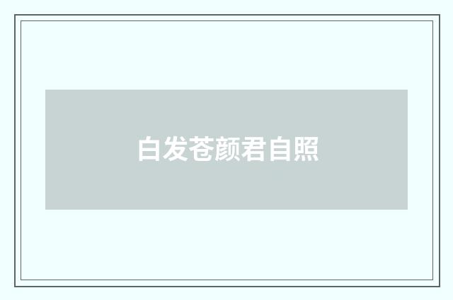 白发苍颜君自照