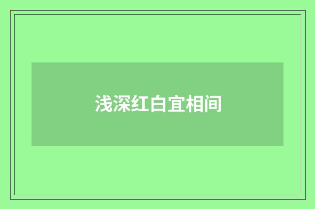 浅深红白宜相间