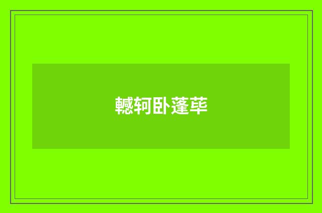 轗轲卧蓬荜