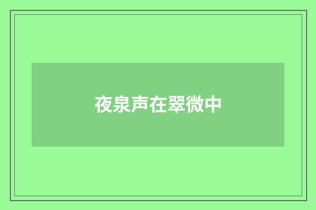 夜泉声在翠微中