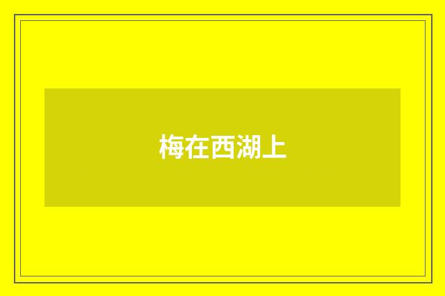 梅在西湖上