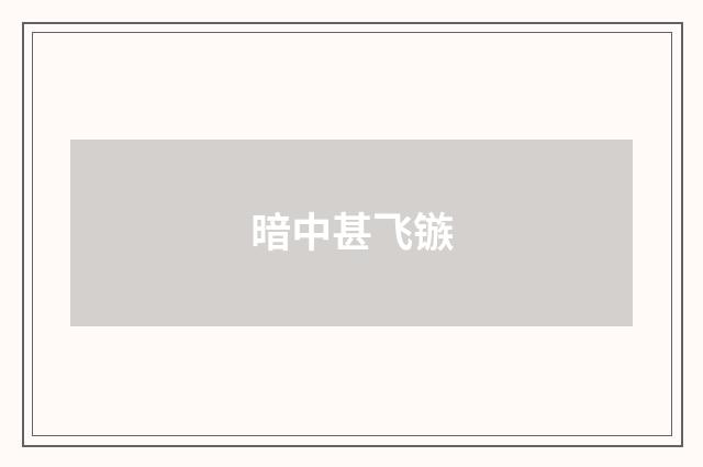 暗中甚飞镞