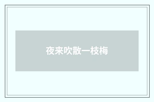 夜来吹散一枝梅