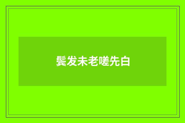 鬓发未老嗟先白