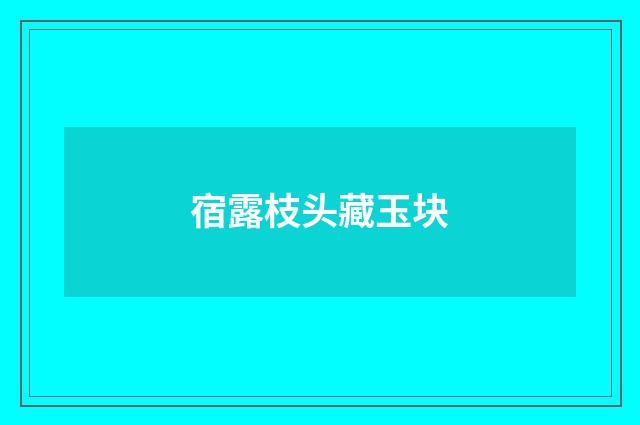 宿露枝头藏玉块