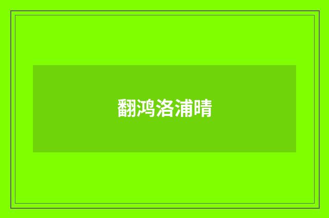 翻鸿洛浦晴
