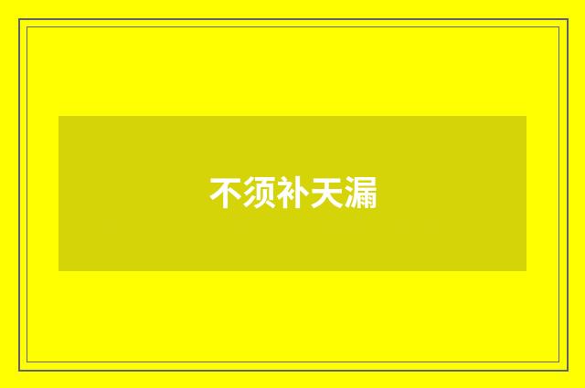 不须补天漏