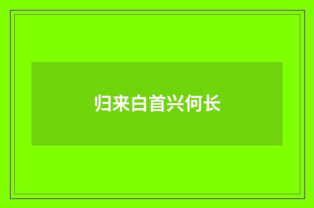 归来白首兴何长