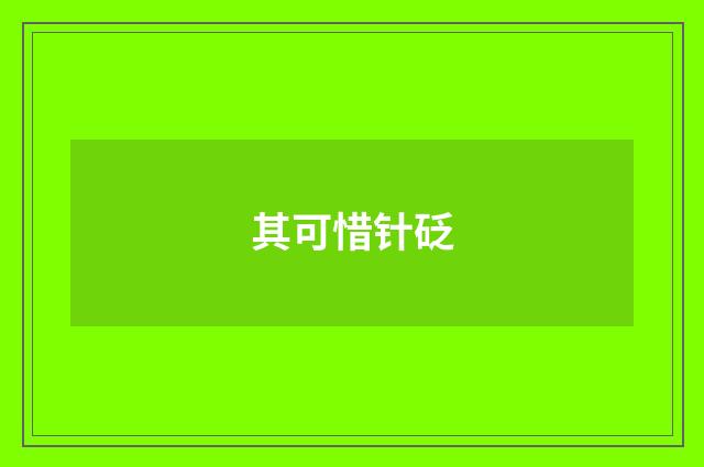 其可惜针砭