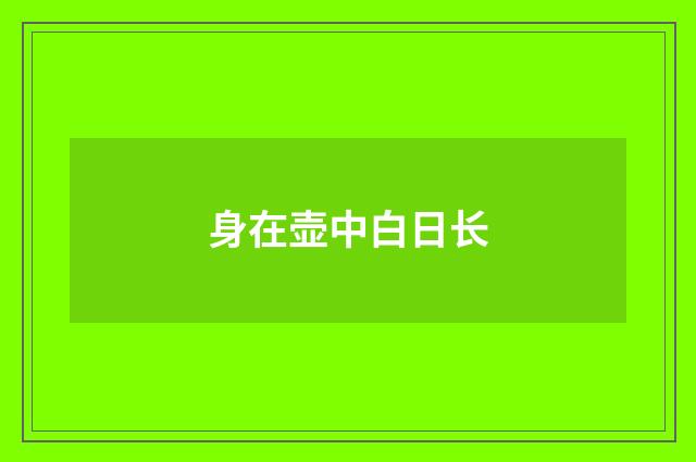 身在壶中白日长