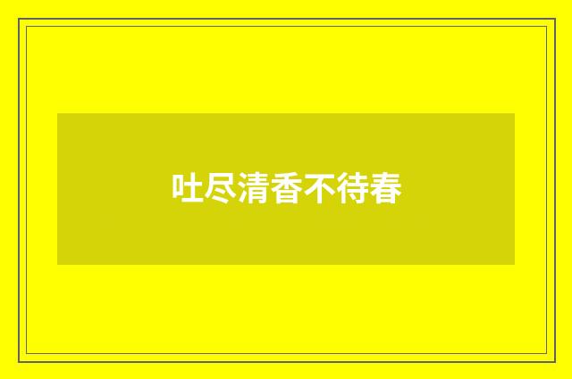 吐尽清香不待春