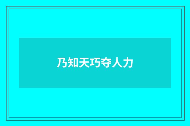 乃知天巧夺人力