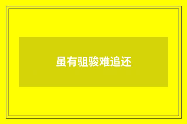 虽有驵骏难追还