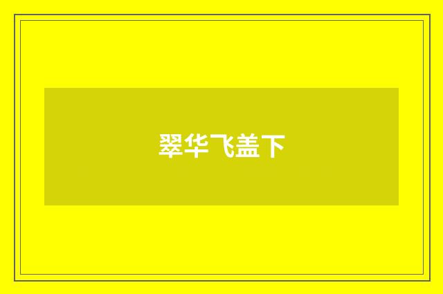 翠华飞盖下