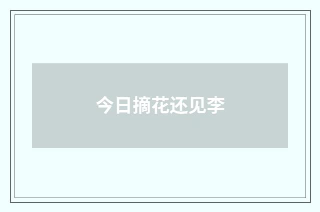 今日摘花还见李