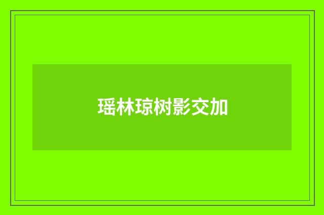 瑶林琼树影交加