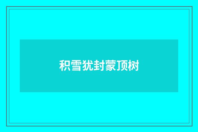 积雪犹封蒙顶树