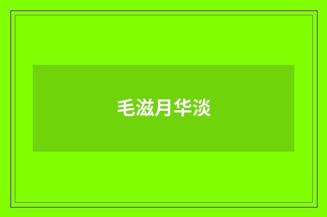 毛滋月华淡
