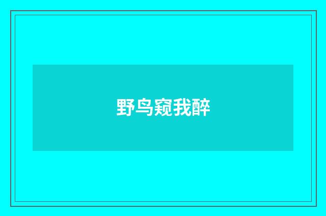 野鸟窥我醉