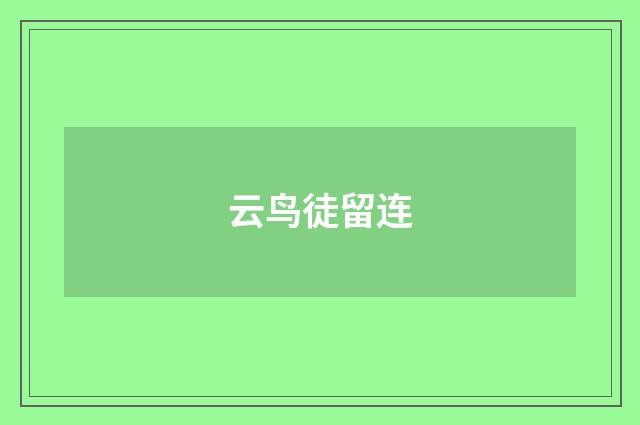 云鸟徒留连